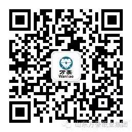 mksports在线登录入口-mk体育(中国)